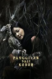 Film Poster