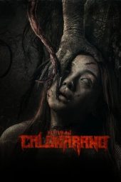 Film Poster
